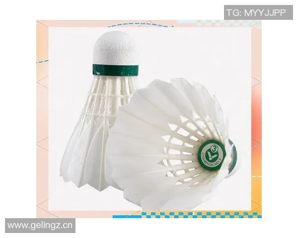 广州羽毛球队个人能力深度解析与训练秘籍分享 广州羽毛球队个人能力深度解析与训练秘籍分享